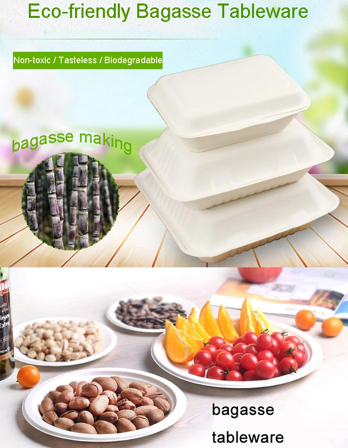 Biodegradable Natural Color Wheat Straw to Go Food Box with Lid for Salad