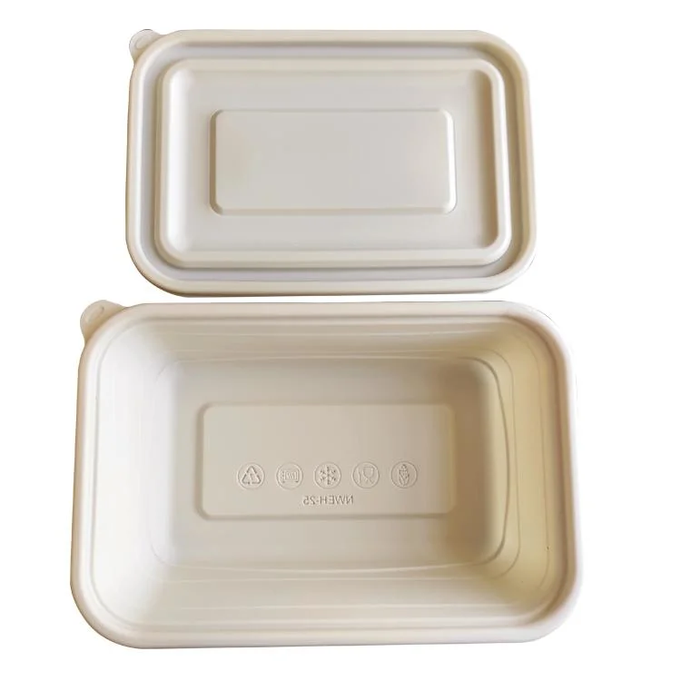 High Quality Disposable Food Boxes with Lids Food Take-out Boxes Biodegradable Water-Fast Food Packaging