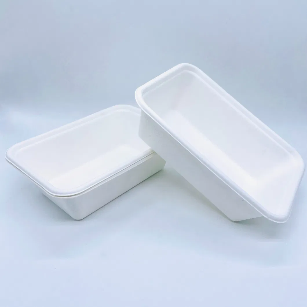 Disposable Biodegradable Bagasse Food Box Tableware Rectangular Sugarcane Lunch Box with Lid