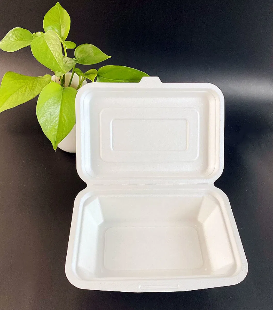 Takeaway Clamshell Biodegradable Compostable Sugarcane Bagasse Hamburger Box Pfas Free for Lunch