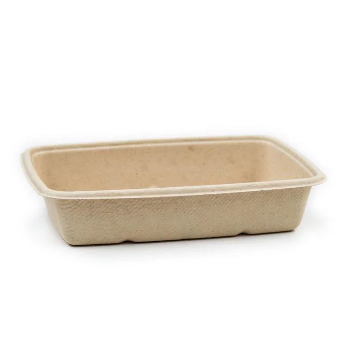 Disposable Biodegradable Bagasse Food Box Tableware Rectangular Sugarcane Lunch Box with Lid