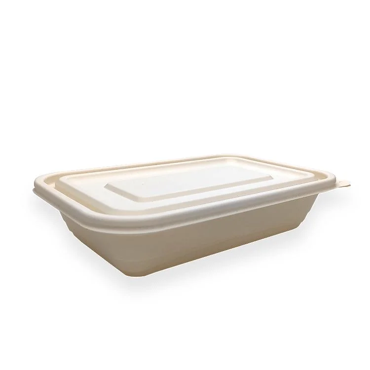 Friendly Disposable Food Boxes with Lids Food Take-out Boxes Biodegradable Take-out Cooked Food Boxes Cornstarch Packaging Box