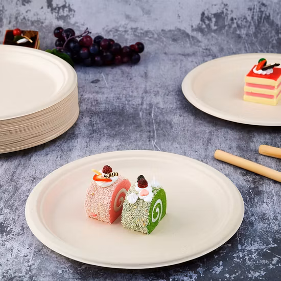 Biodegradable Compostable Disposable Eco-Friendly Plate Sugarcane Bagasse 10 Inch 3 Compartment Round Square Oval Pulp Molded Wholesale Dinner Paper Plate