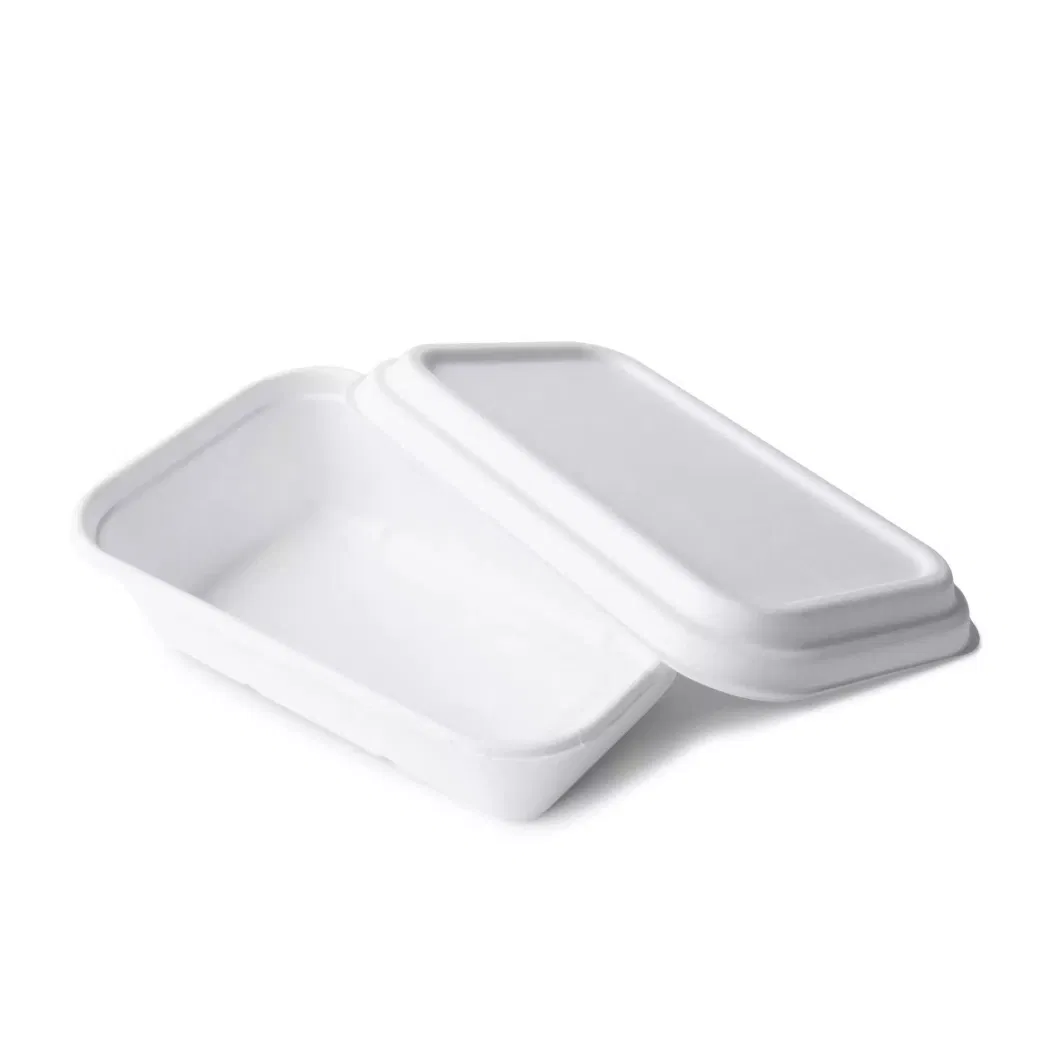 Disposable Biodegradable Bagasse Food Box Tableware Rectangular Sugarcane Lunch Box with Lid