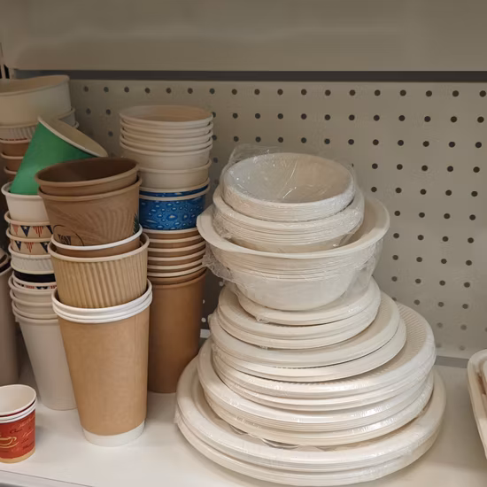 Biodegradable Compostable Disposable Eco-Friendly Plate Sugarcane Bagasse 10 Inch 3 Compartment Round Square Oval Pulp Molded Wholesale Dinner Paper Plate
