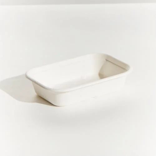 Disposable Biodegradable Bagasse Food Box Tableware Rectangular Sugarcane Lunch Box with Lid